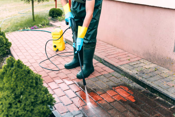 Best Animal Enclosure Cleaning  in Nroe City, MO