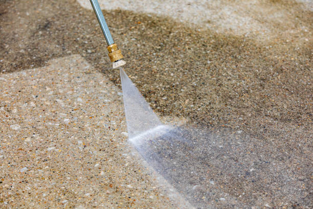Best Warehouse Cleaning  in Nroe City, MO