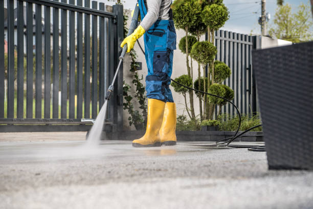 Best Soft Washing  in Nroe City, MO